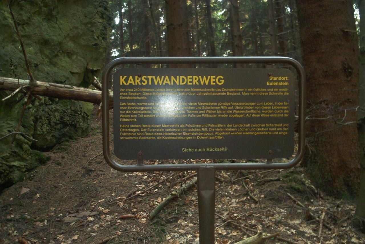 Ferienwohnungen Stricker Harz Walkenried ภายนอก รูปภาพ